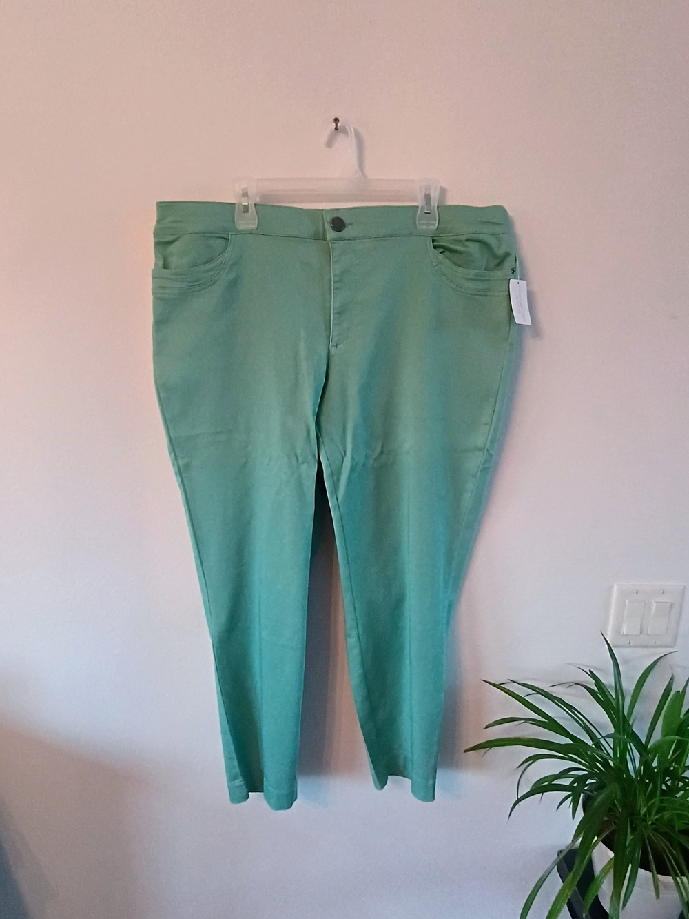 CJ Banks 18W Mint Green Stretch Ankle Pants Slim Straight NWT Plus Size